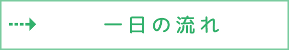 一日の流れ