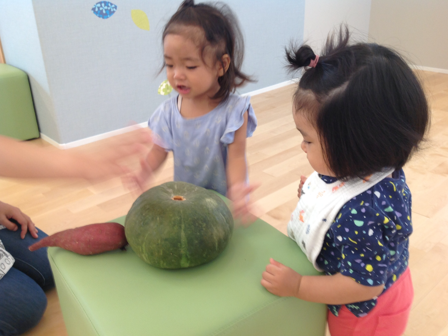 ★観察・飼育★　･植物・生物
