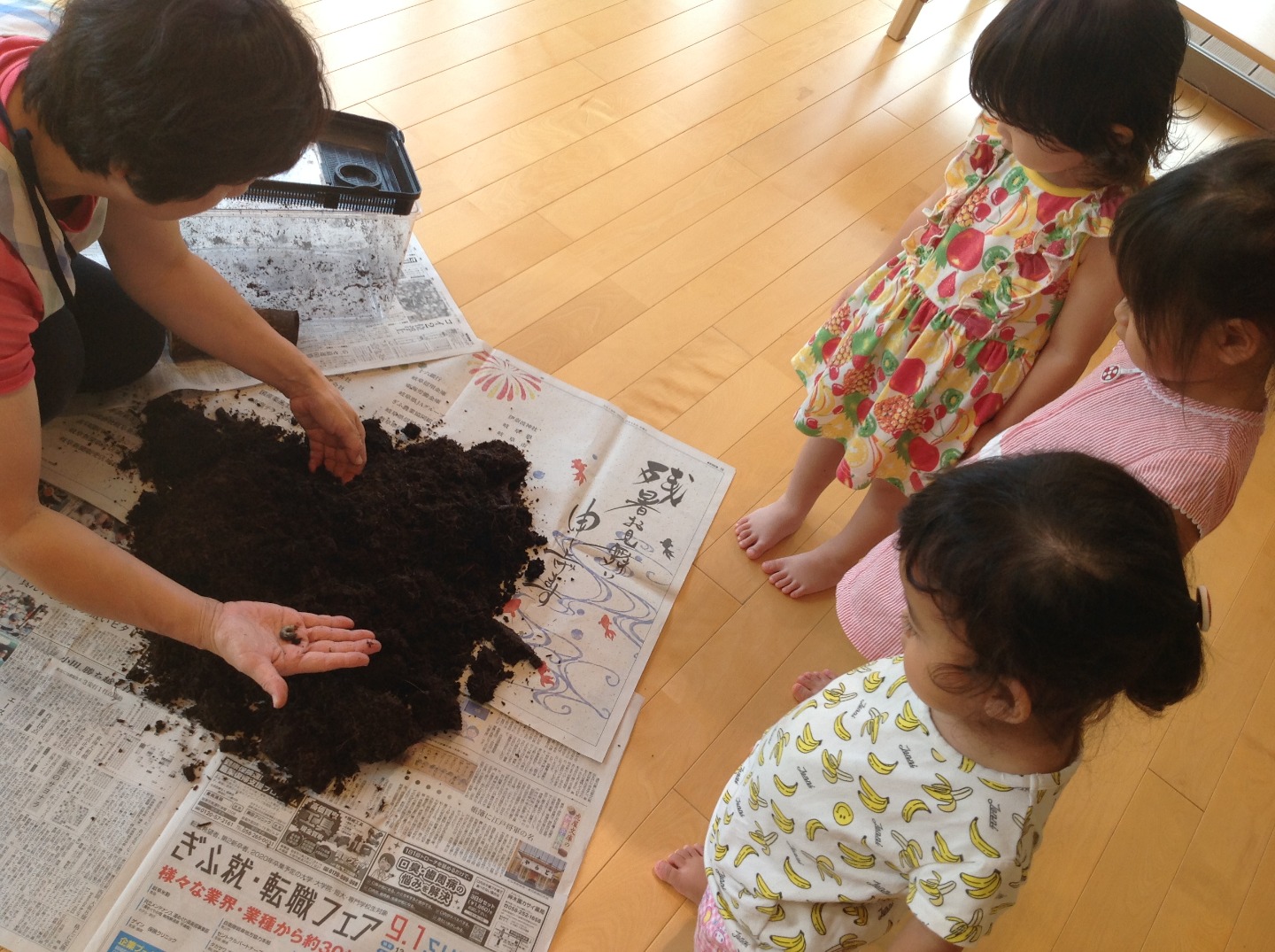 ★観察・飼育★　･植物・生物