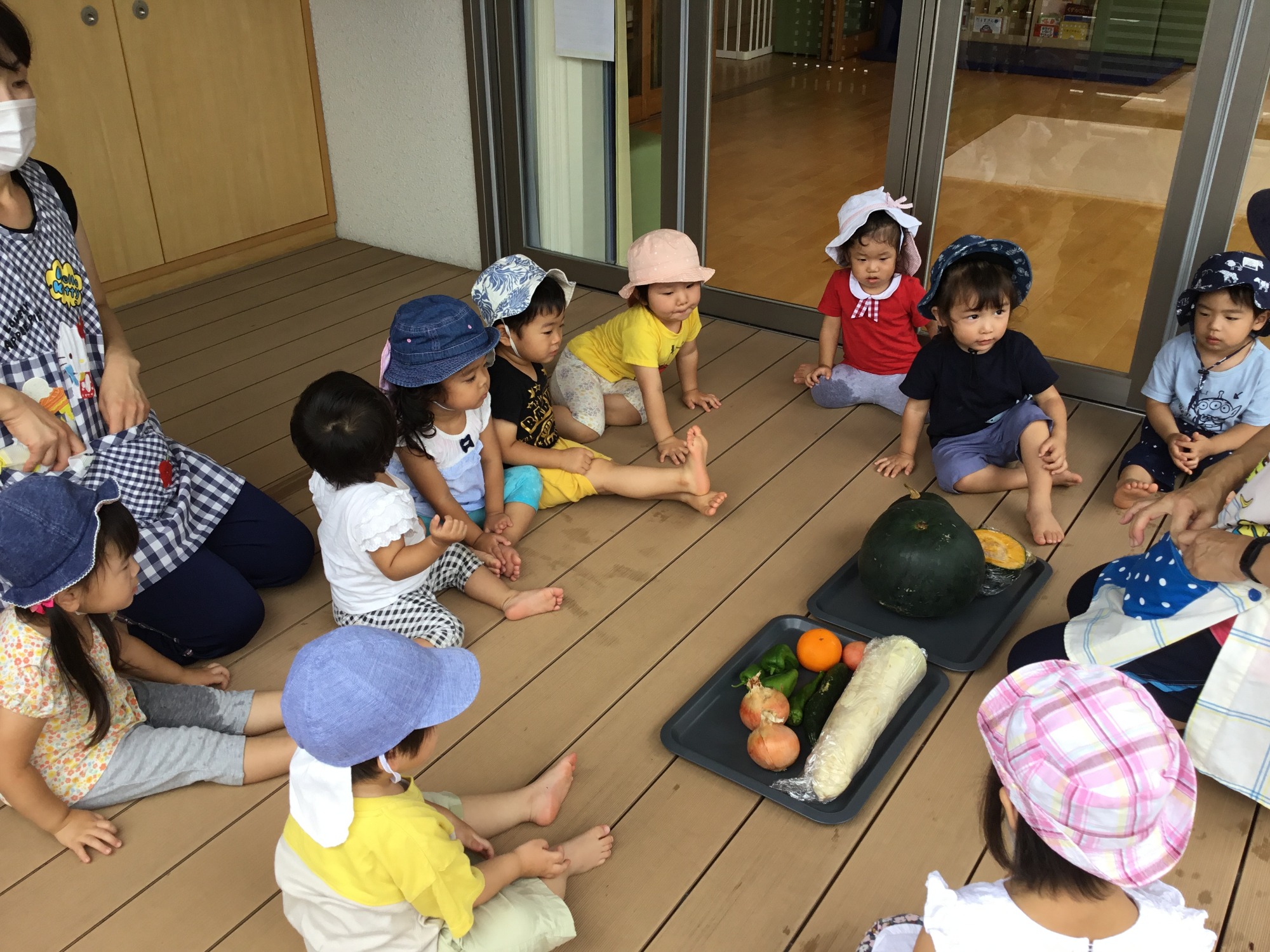 ★観察・飼育★　･植物・生物