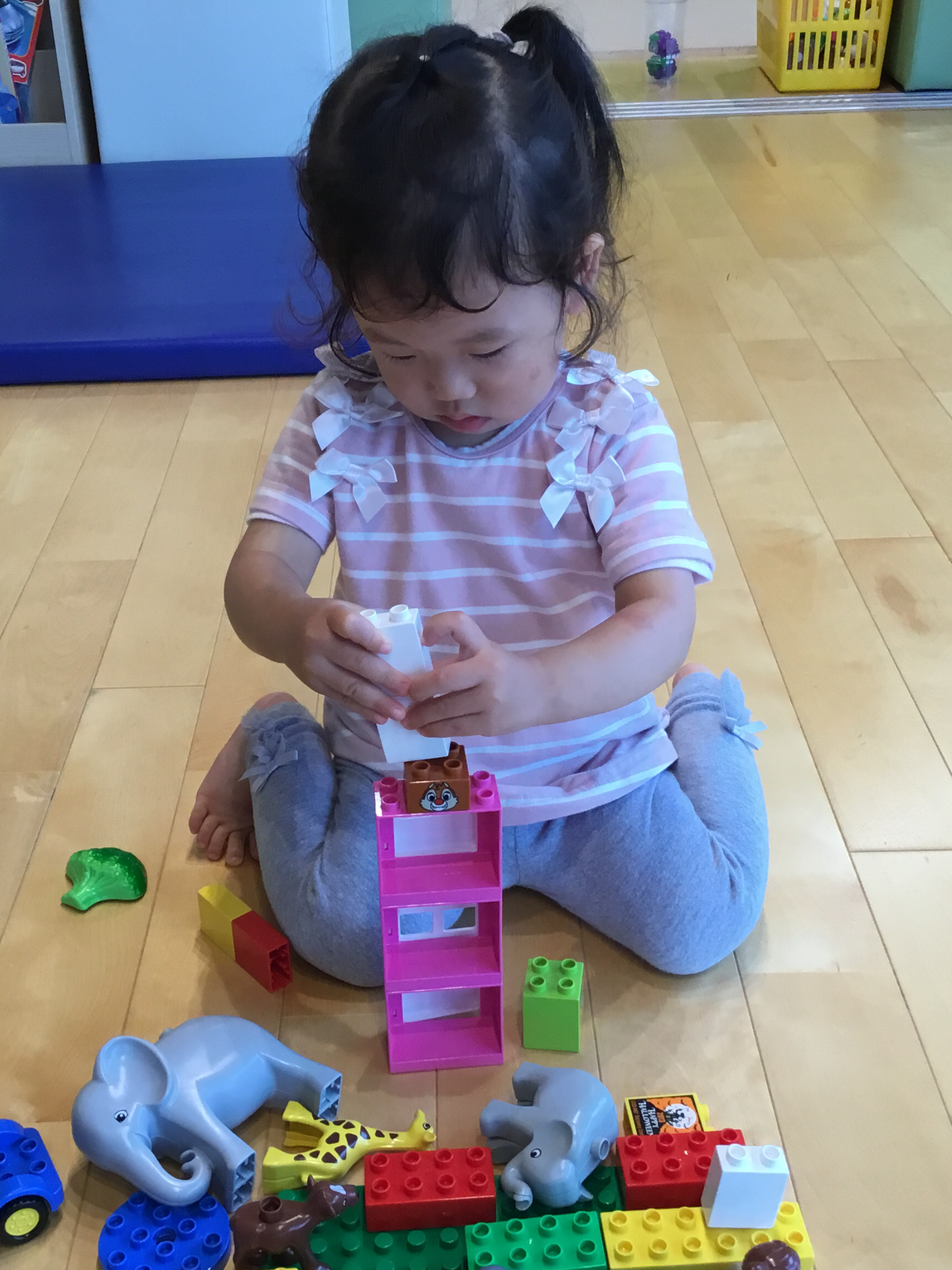 活動の様子