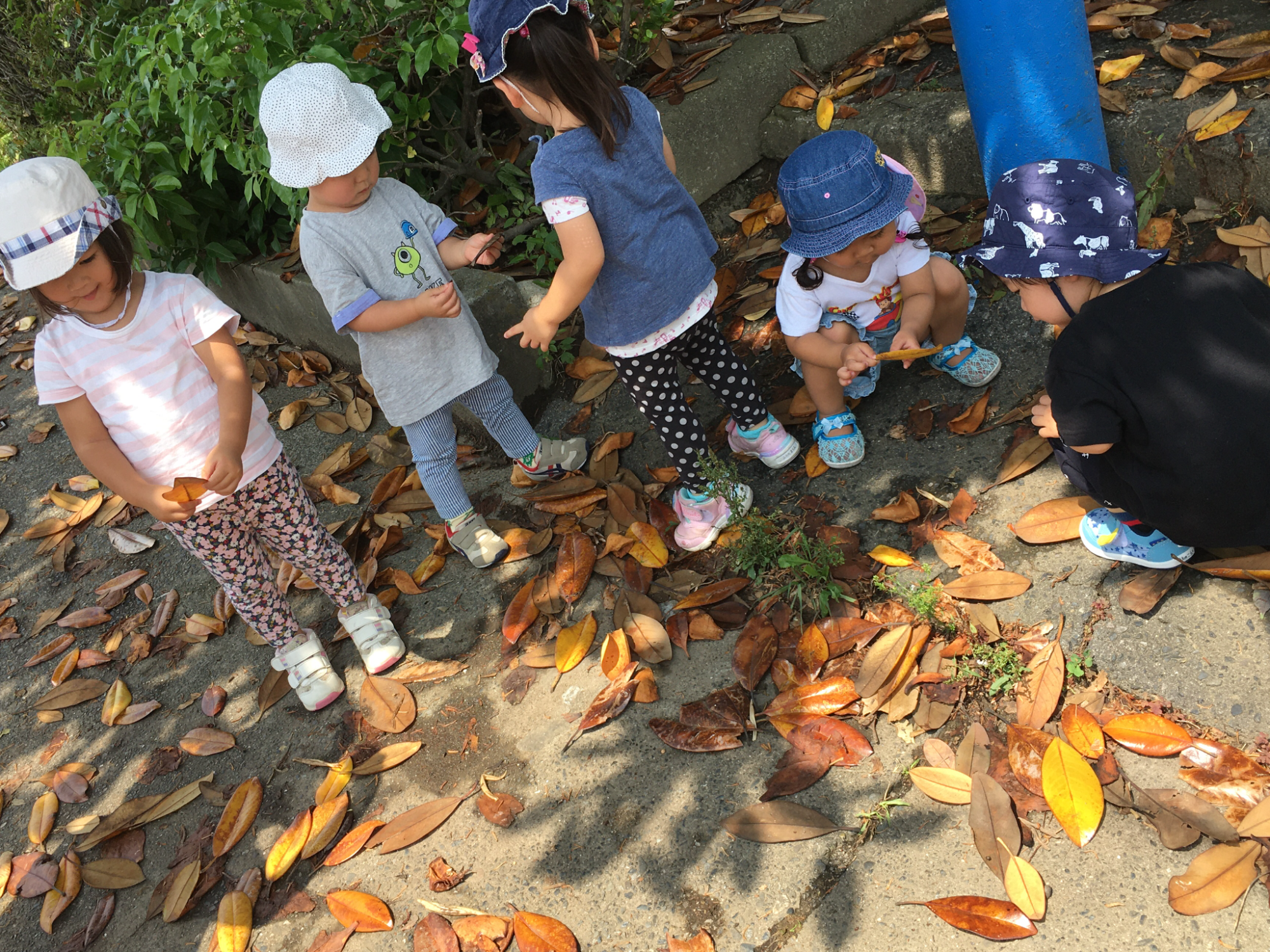 公園あそび