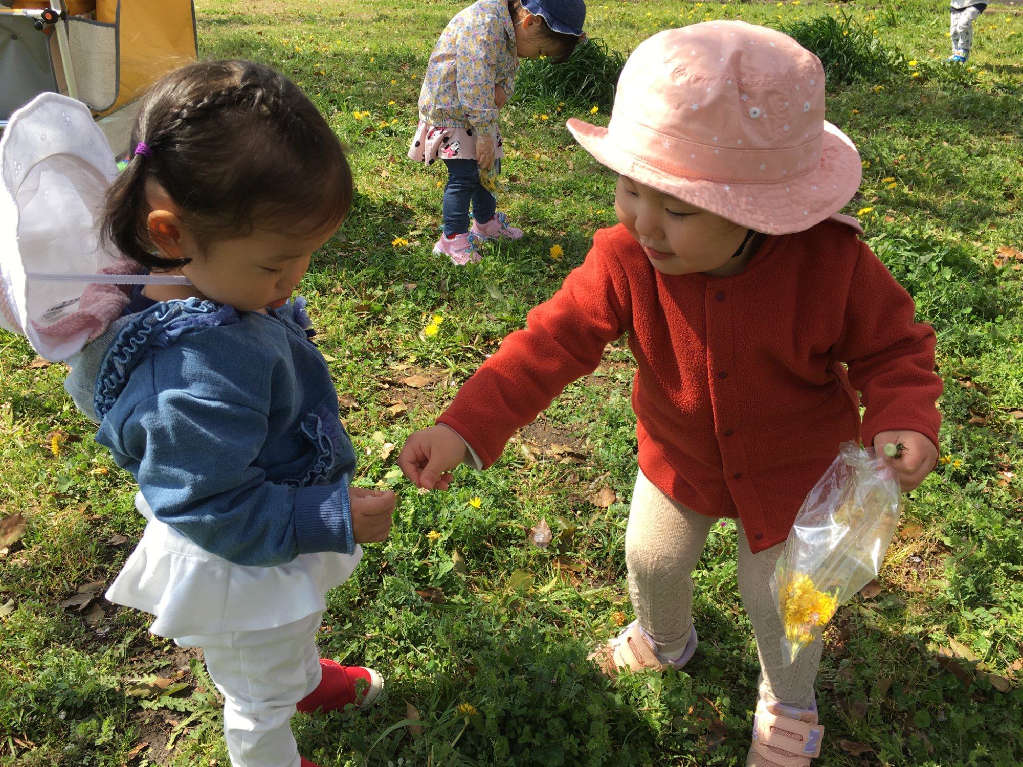 公園あそび