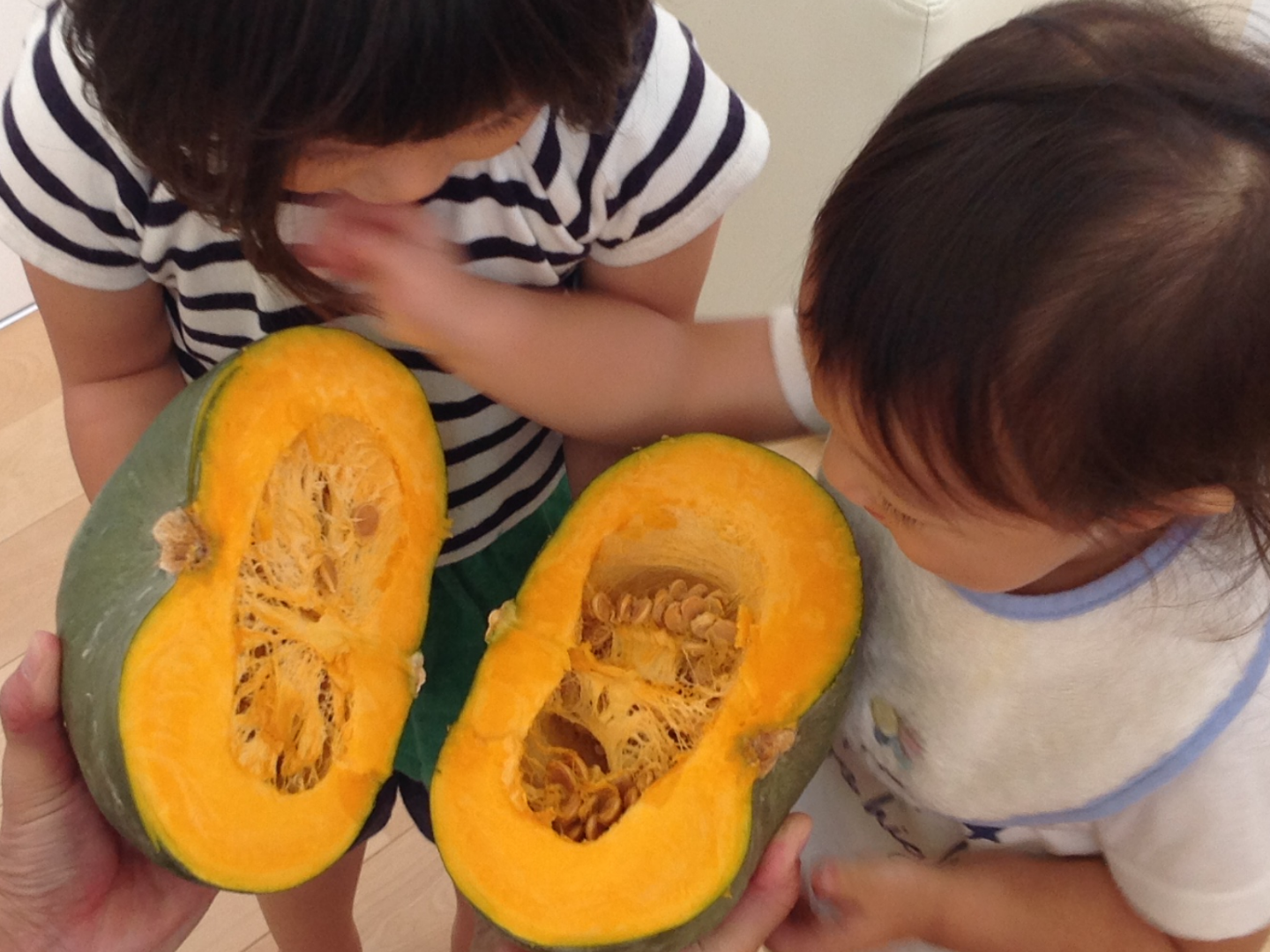 ★観察・飼育★　･植物・生物