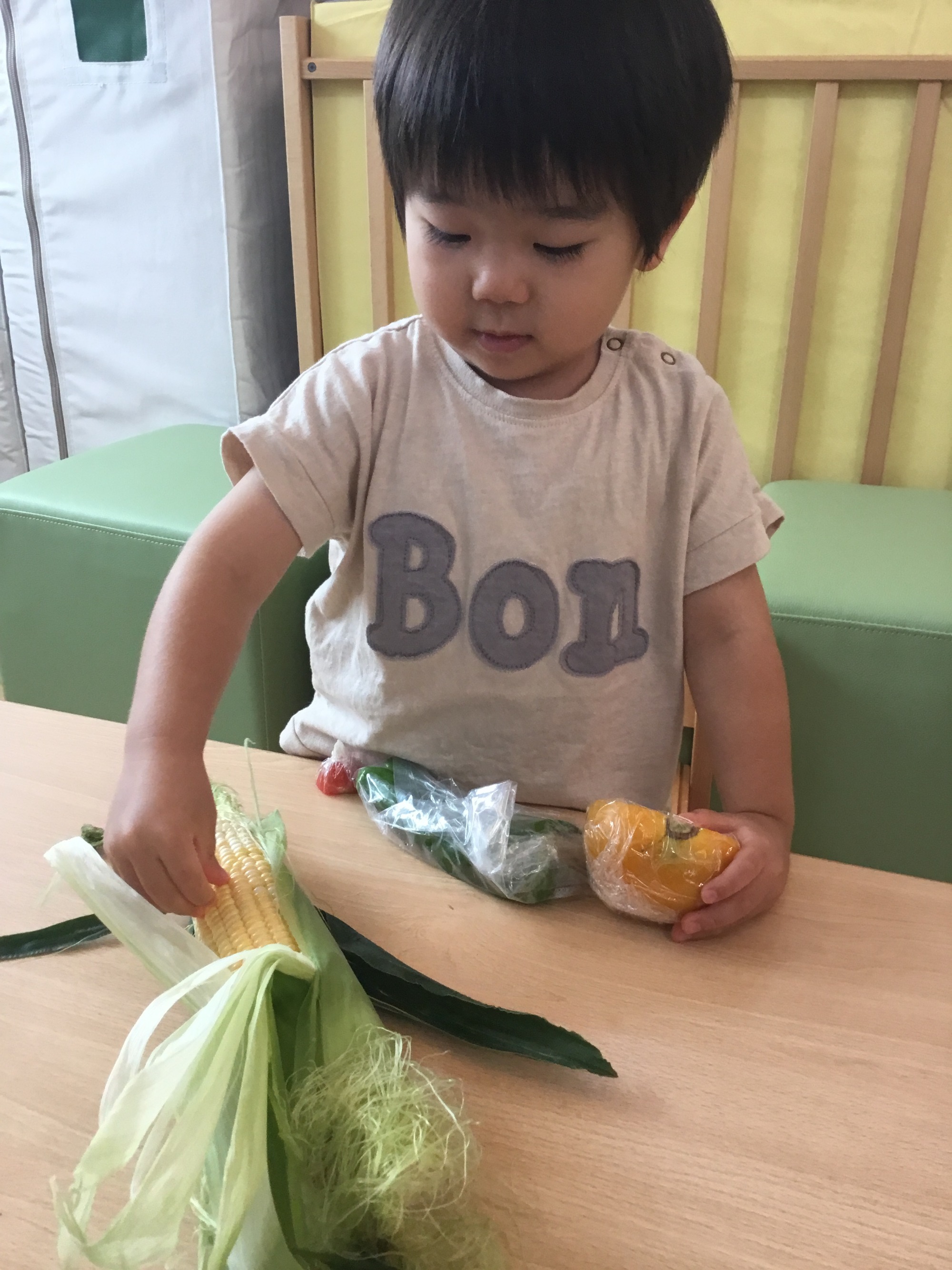 ★観察・飼育★　･植物・生物
