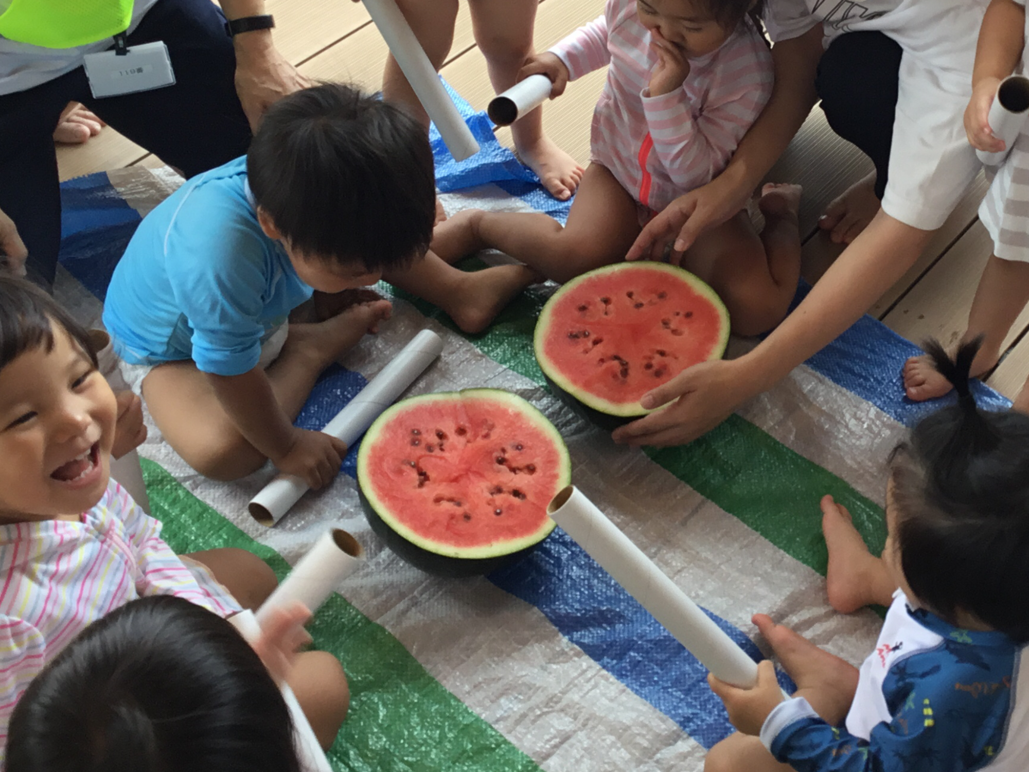 ★観察・飼育★　･植物・生物