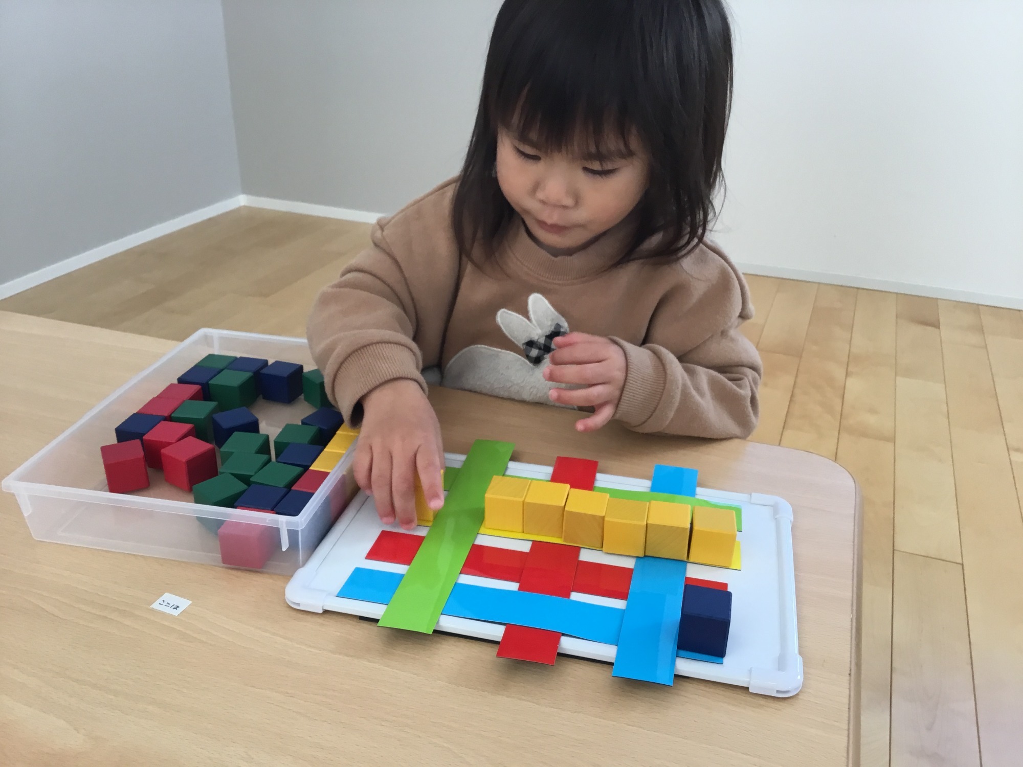 活動の様子