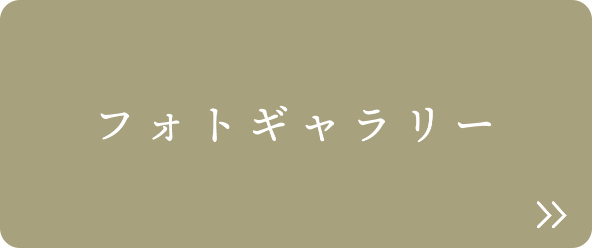 フォトギャラリー